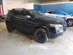 2019 Jeep Cherokee Trailhawk de vânzare în Northfield, OH - Mechanical