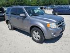 2008 Ford Escape Xlt for Sale in Mendon, MA - Rear End
