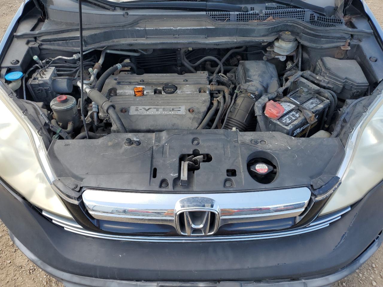 2007 Honda Cr-V Ex VIN: JHLRE48517C062454 Lot: 62869895