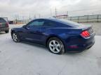 2019 Ford Mustang  for Sale in Haslet, TX - Hail