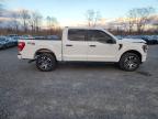 2023 Ford F150 Supercrew for Sale in Hillsborough, NJ - Front End