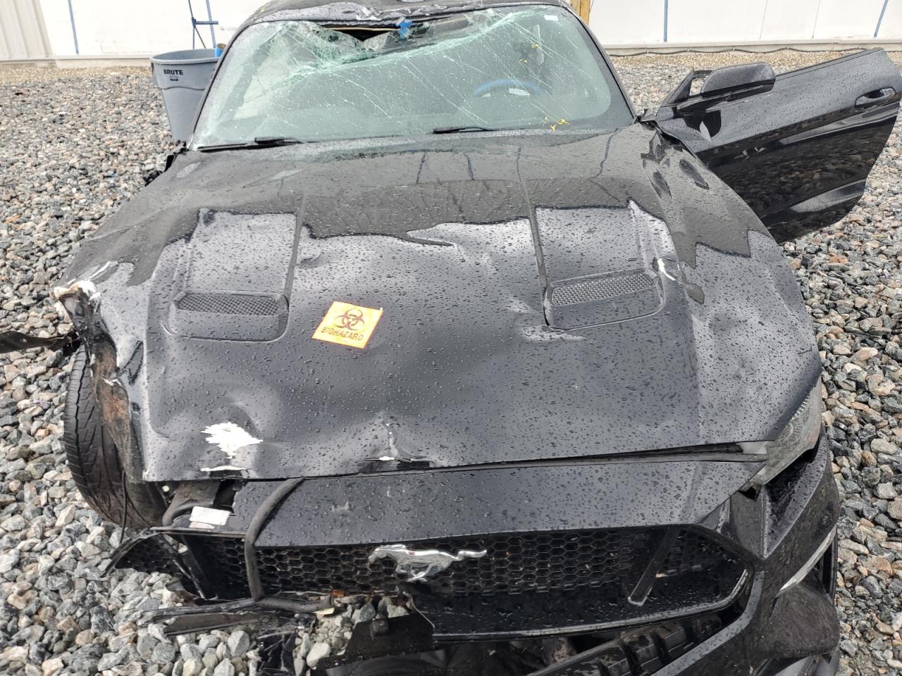 FORD MUSTANG 2020 VIN 1FA6P8CF2L5191308 photo 11
