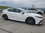 Littleton, CO에서 판매 중인 2023 Toyota Camry Se Night Shade - Rear End