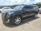 2019 Cadillac Escalade Esv Premium Luxury na sprzedaż w Greenwell Springs, LA - Normal Wear