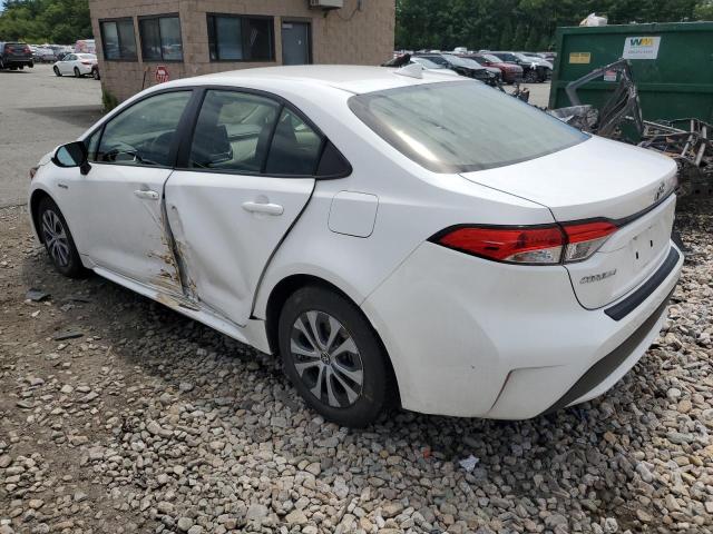  TOYOTA COROLLA 2020 Biały