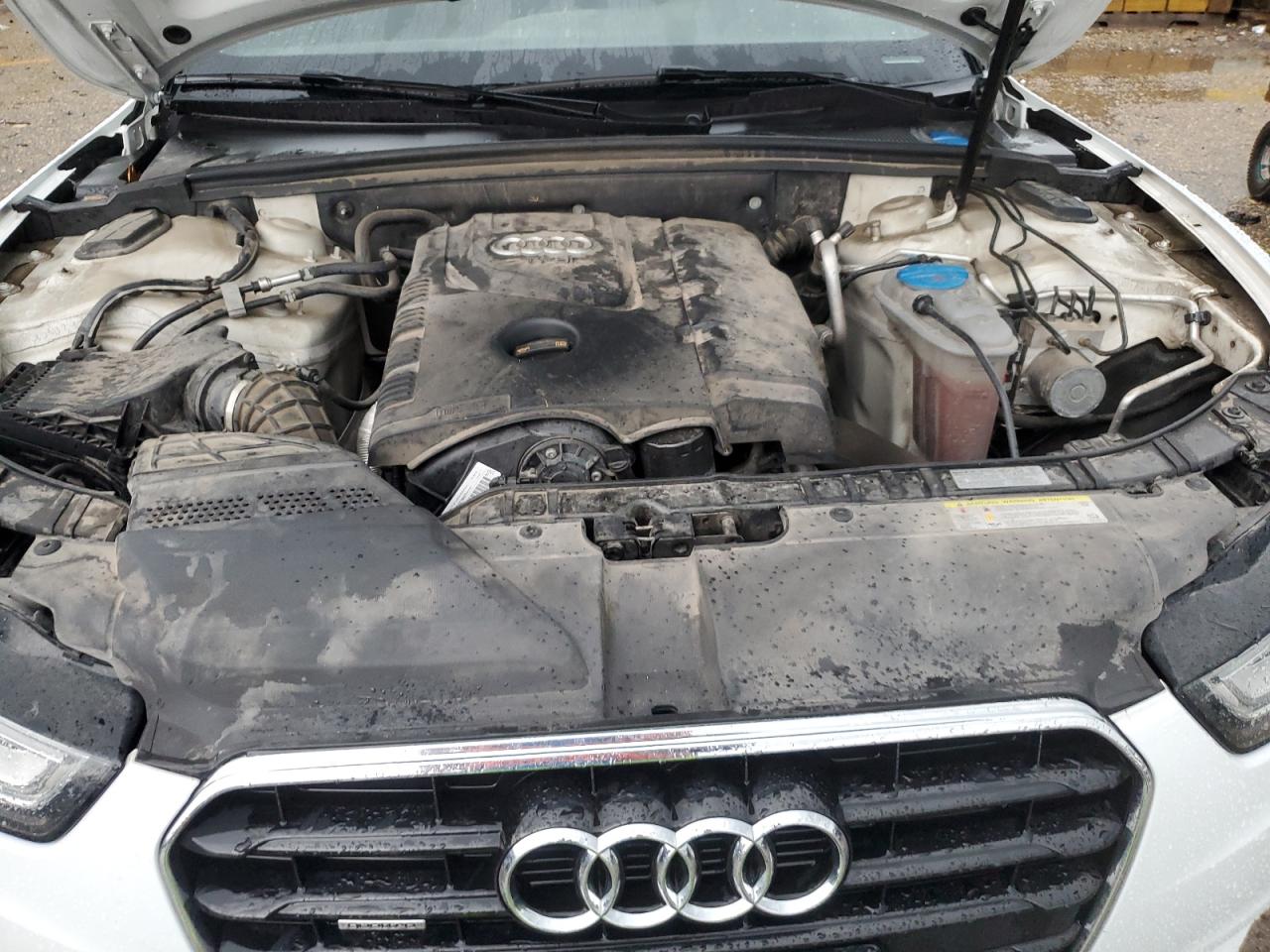 2013 Audi A5 Premium Plus VIN: WAULFAFH1DN005261 Lot: 60153695