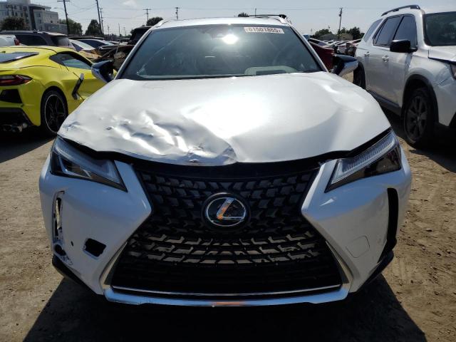  LEXUS UX 250H PR 2024 White