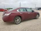 2013 Nissan Maxima S for Sale in Temple, TX - Front End