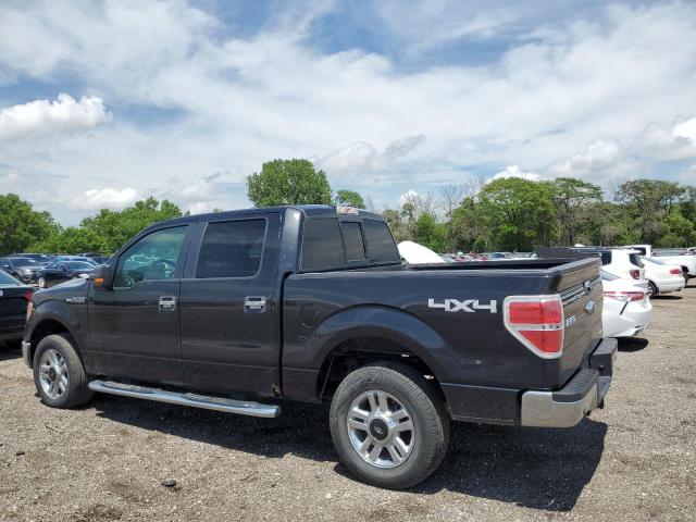 Пикапы FORD F-150 2014 Черный