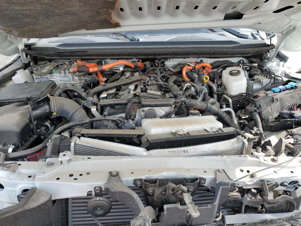 2024 Toyota Land Cruiser Base VIN: JTEABFAJ9RK004196 Lot: 62719385