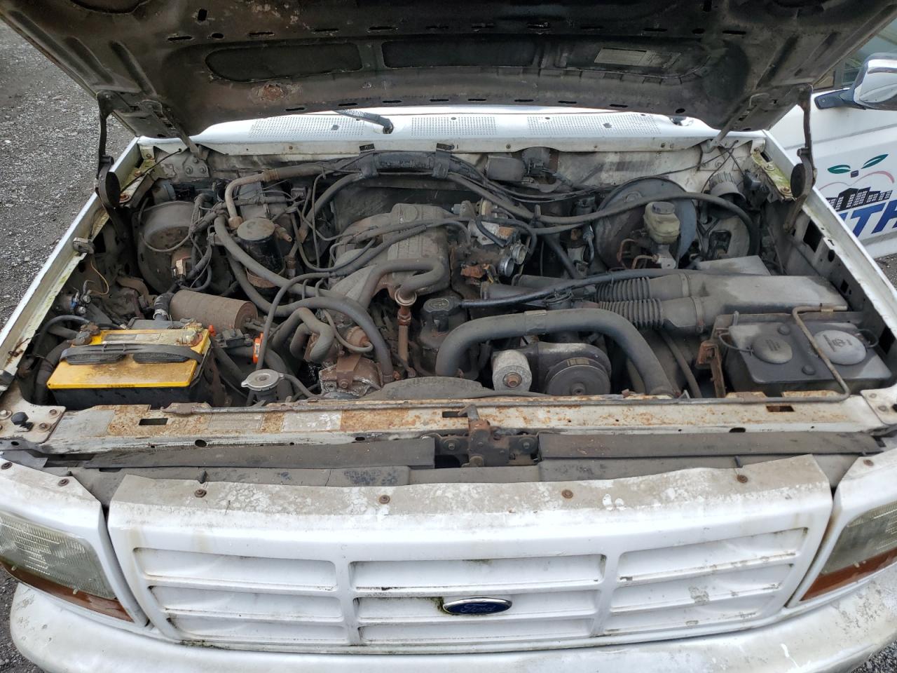 1992 Ford F150 VIN: 1FTEF15Y8NNB01600 Lot: 62353725