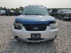 2007 Ford Escape Xlt for Sale in Cahokia Heights, IL - Front End