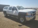 2010 Chevrolet Silverado K2500 Heavy Duty Lt იყიდება Brighton-ში, CO - Front End
