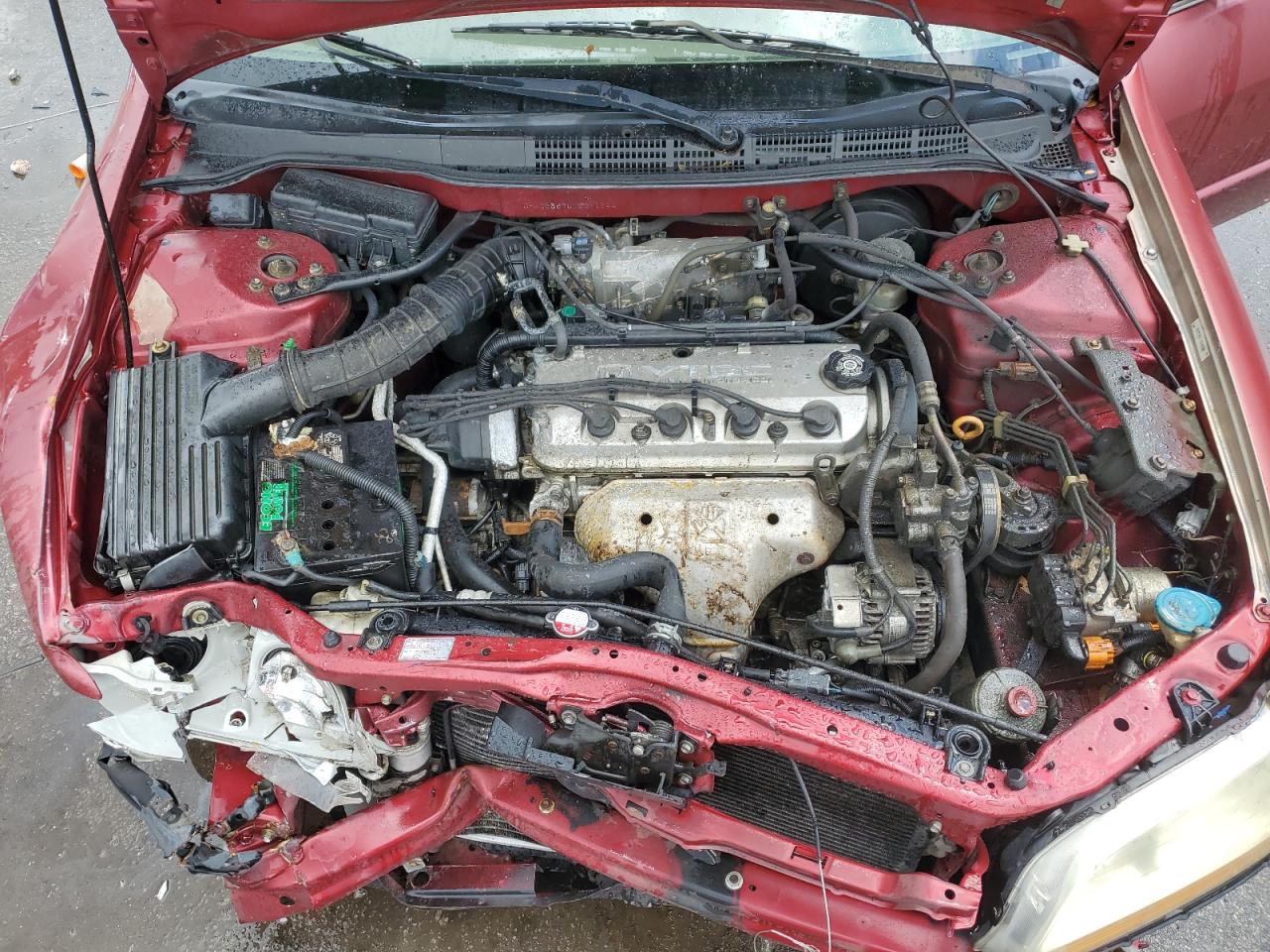 2000 Honda Accord Se VIN: JHMCG5670YC021644 Lot: 59304535