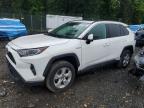 2021 Toyota Rav4 Xle იყიდება Baltimore-ში, MD - All Over
