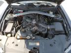Windsor, NJ에서 판매 중인 2014 Ford Mustang  - Front End