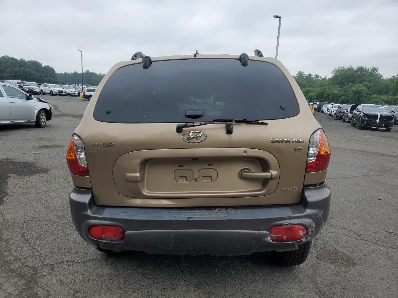 2004 Hyundai Santa Fe Gls VIN: KM8SC73D04U728371 Lot: 63073085