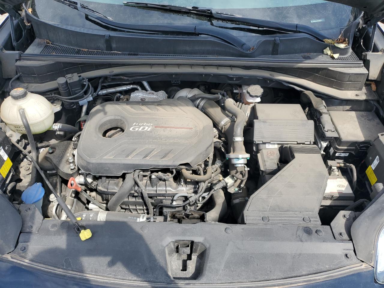 KIA SPORTAGE 2018 VIN KNDPRCA67J7381573 photo 11