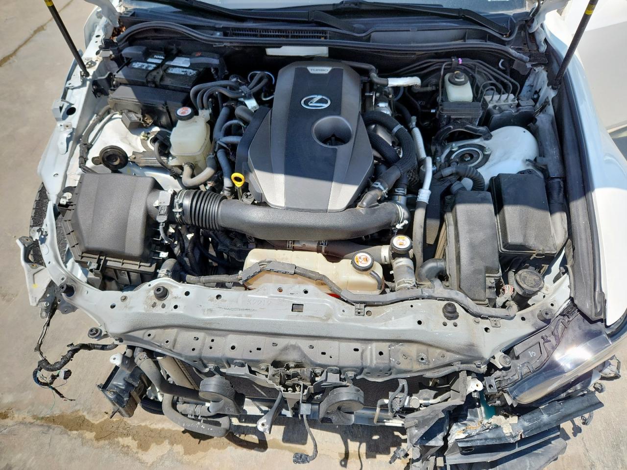 2019 Lexus Is 300 VIN: JTHBA1D24K5094203 Lot: 61448905