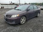 2013 Toyota Corolla Base   للبيع في Hillsborough، NJ - Minor Dent/Scratches