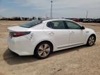 2014 Kia Optima Hybrid zu verkaufen in Amarillo, TX - Rear End