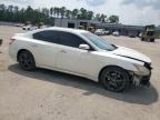 2009 Nissan Maxima S for Sale in Harleyville, SC - Front End