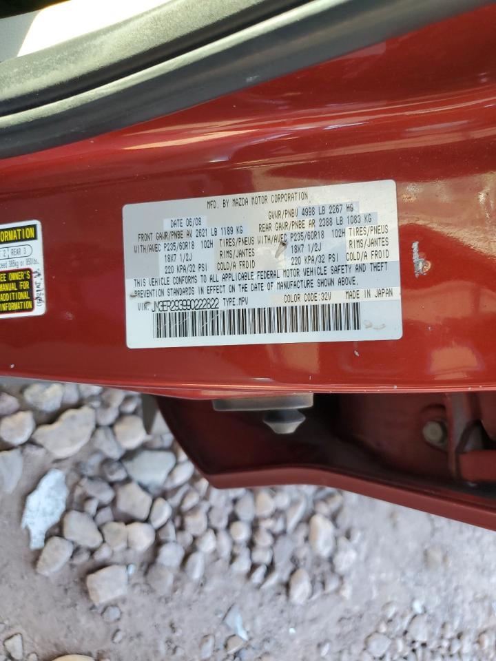 2009 Mazda Cx-7 VIN: JM3ER293990222822 Lot: 62336805