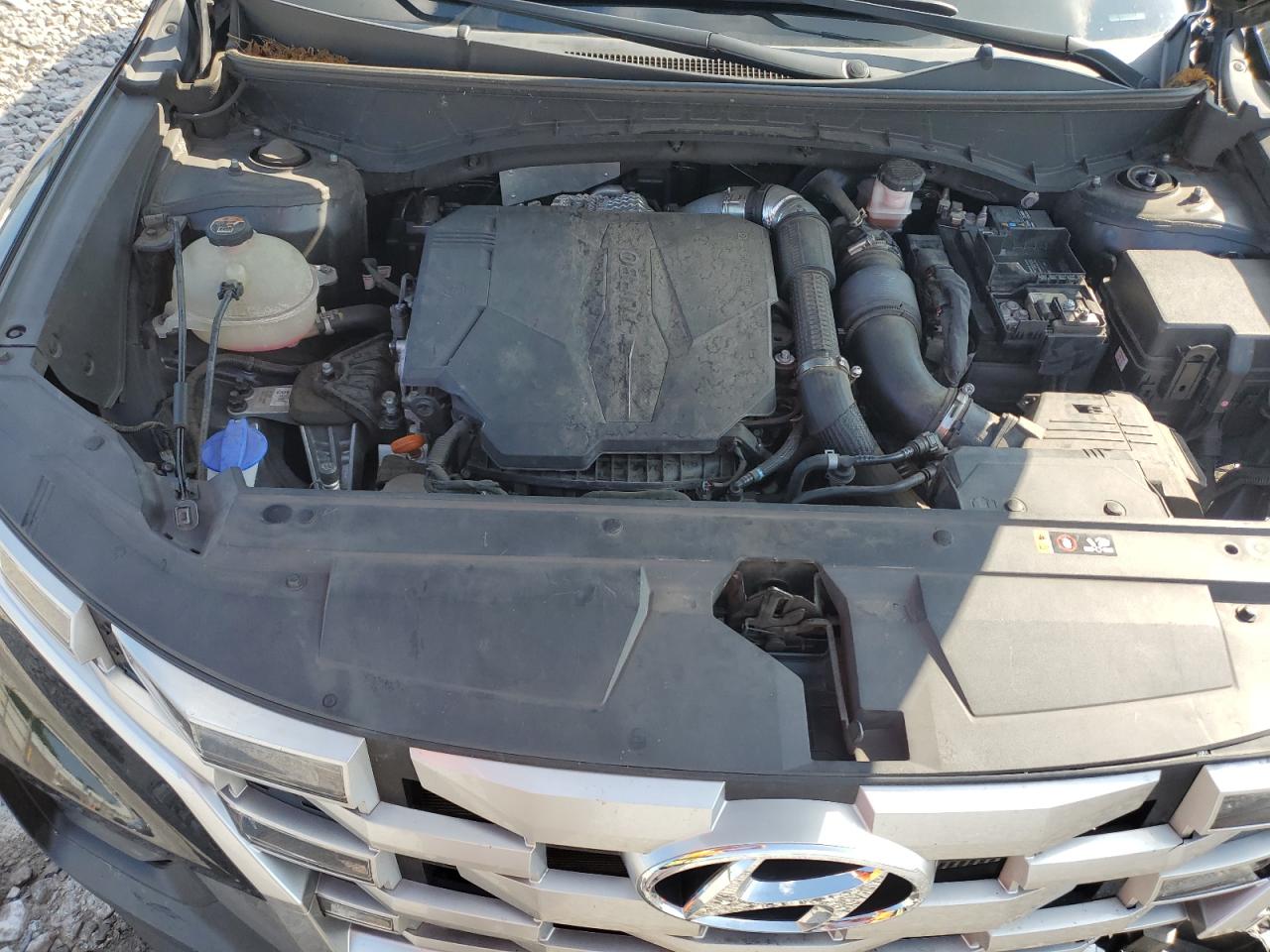 2022 Hyundai Santa Cruz Sel Premium VIN: 5NTJDDAF4NH001487 Lot: 62019125