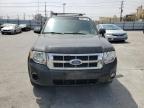 2008 Ford Escape Xlt იყიდება Sun Valley-ში, CA - Minor Dent/Scratches