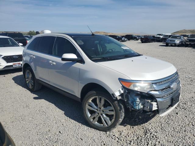 Паркетники FORD EDGE 2014 Белы