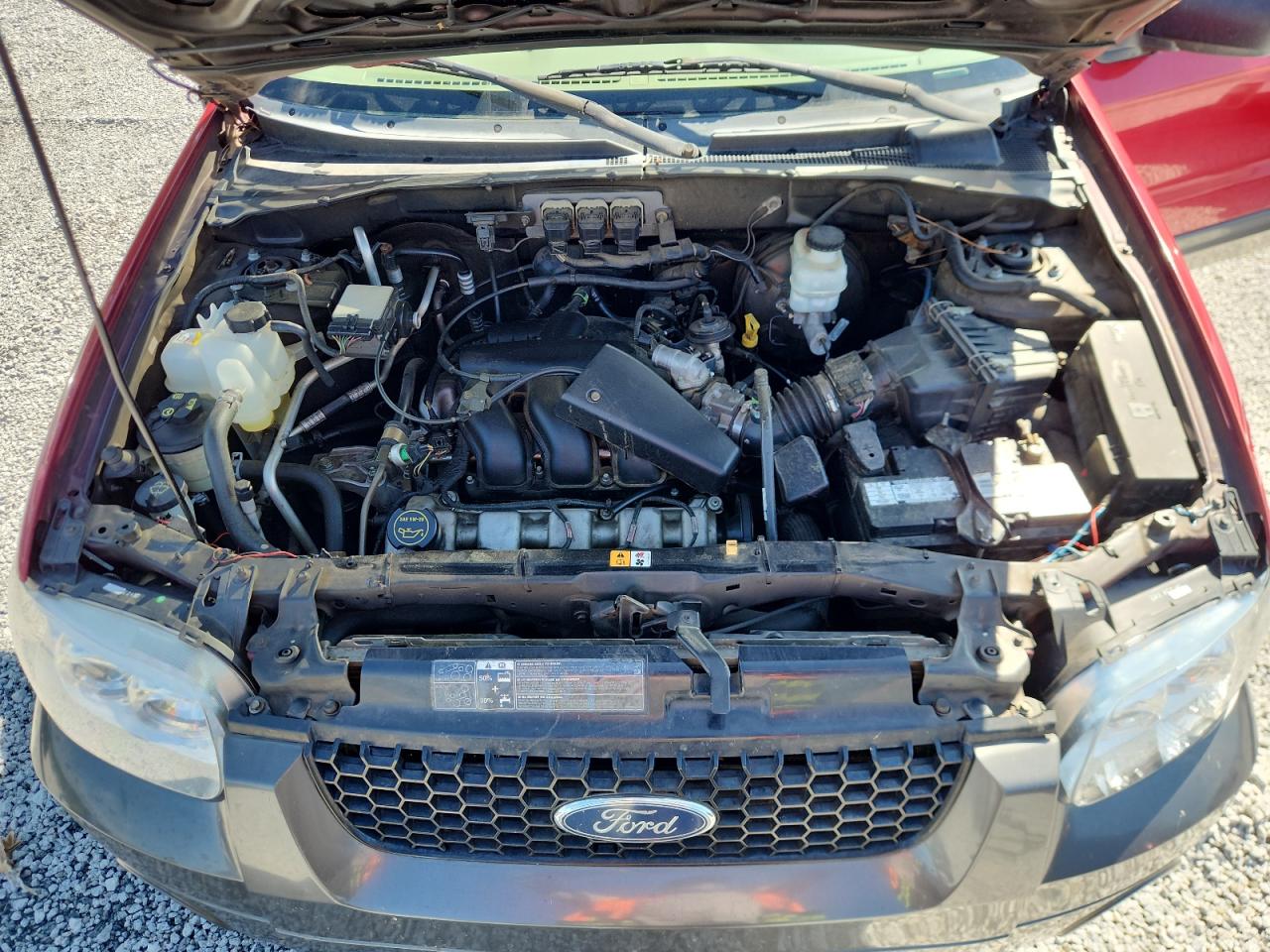 2005 Ford Escape Xlt VIN: 1FMYU03175KB41196 Lot: 62846695