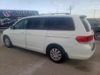 Haslet, TX에서 판매 중인 2010 Honda Odyssey Exl - Hail