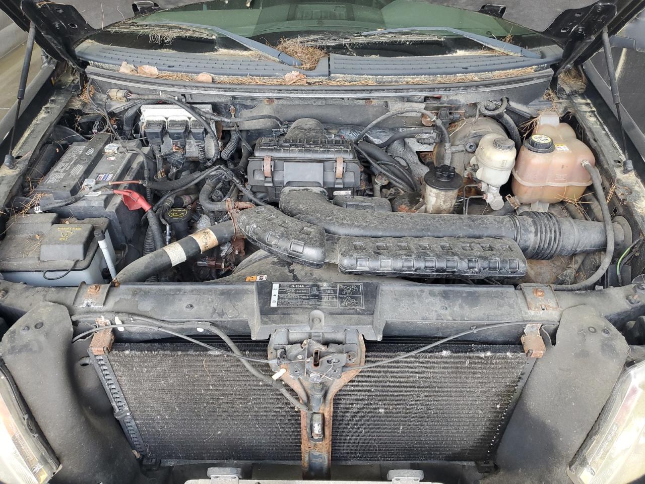 FORD All Models 2008 VIN 1FTPX14598KE15288 zdjęcie 11