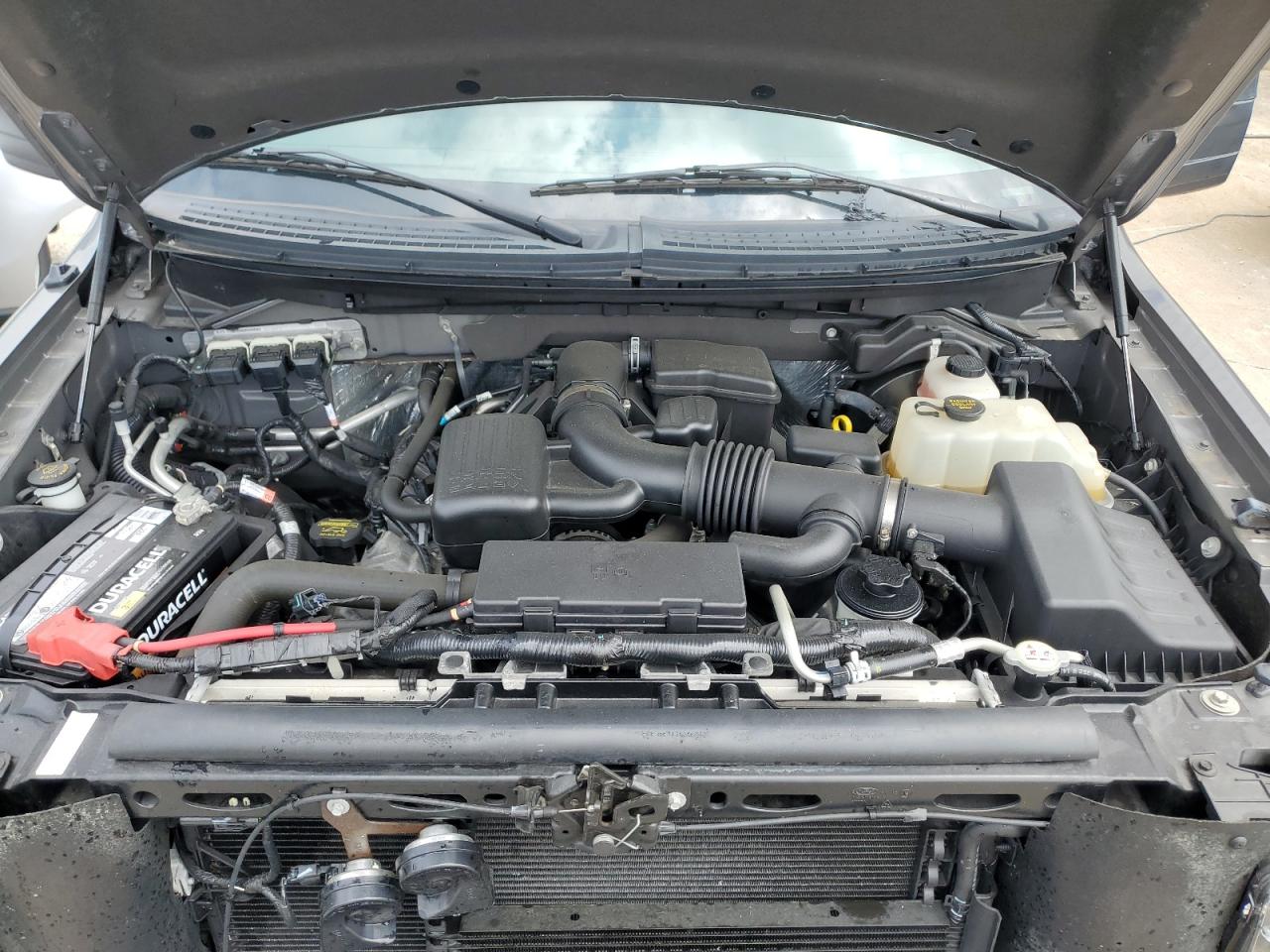 2010 Ford F150 Super Cab VIN: 1FTVX1EVXAKB69217 Lot: 58202185