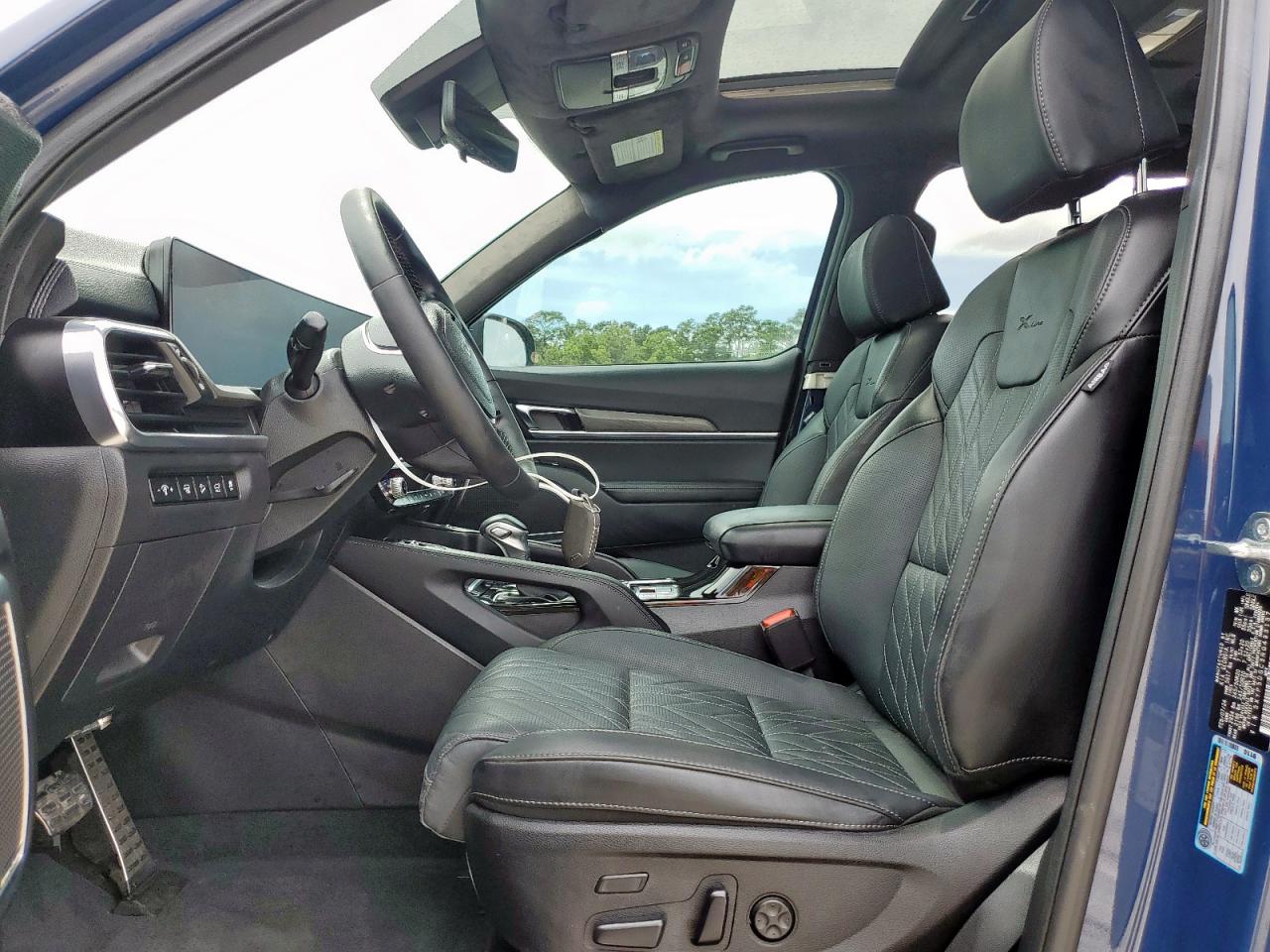2024 Kia Telluride Sx VIN: 5XYP5DGC3RG493137 Lot: 62479505