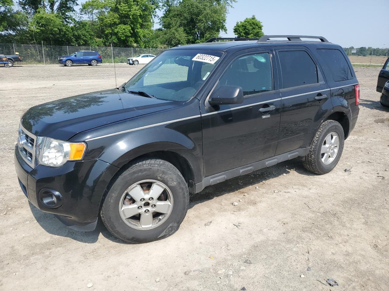 2011 Ford Escape Xlt for Sale in Cicero, IN - Side