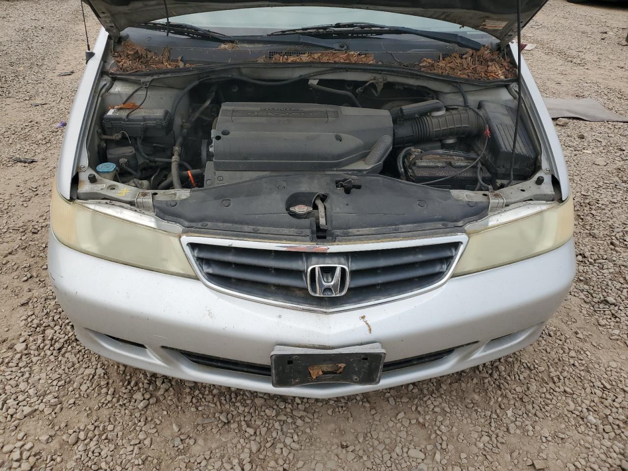 2002 Honda Odyssey Lx VIN: 2HKRL18502H546808 Lot: 59077275