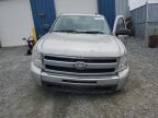 2011 CHEVROLET SILVERADO K1500 LS   for sale at Copart NS - HALIFAX