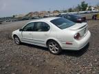 2002 Nissan Maxima Gle იყიდება Marlboro-ში, NY - Minor Dent/Scratches