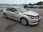 Ham Lake, MN에서 판매 중인 2013 Honda Accord Exl - Front End