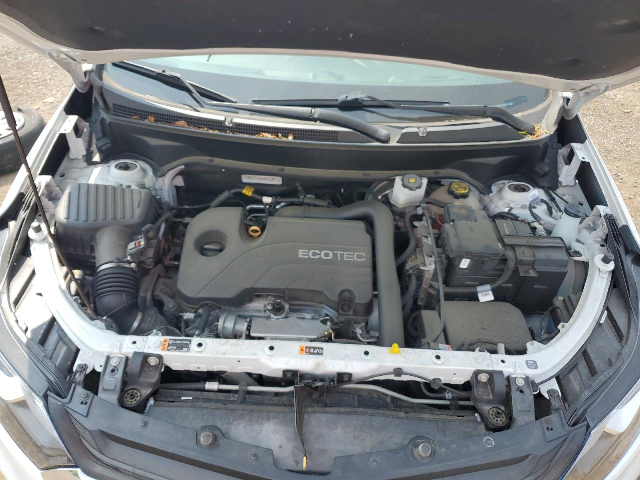 3GNAXUEV4LS688892 CHEVROLET EQUINOX 2020