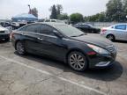 2011 Hyundai Sonata Se   იყიდება Van Nuys-ში, CA - Minor Dent/Scratches