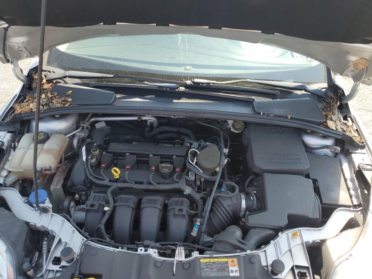 FORD FOCUS 2013 VIN 1FADP3K26DL383398 фото 11