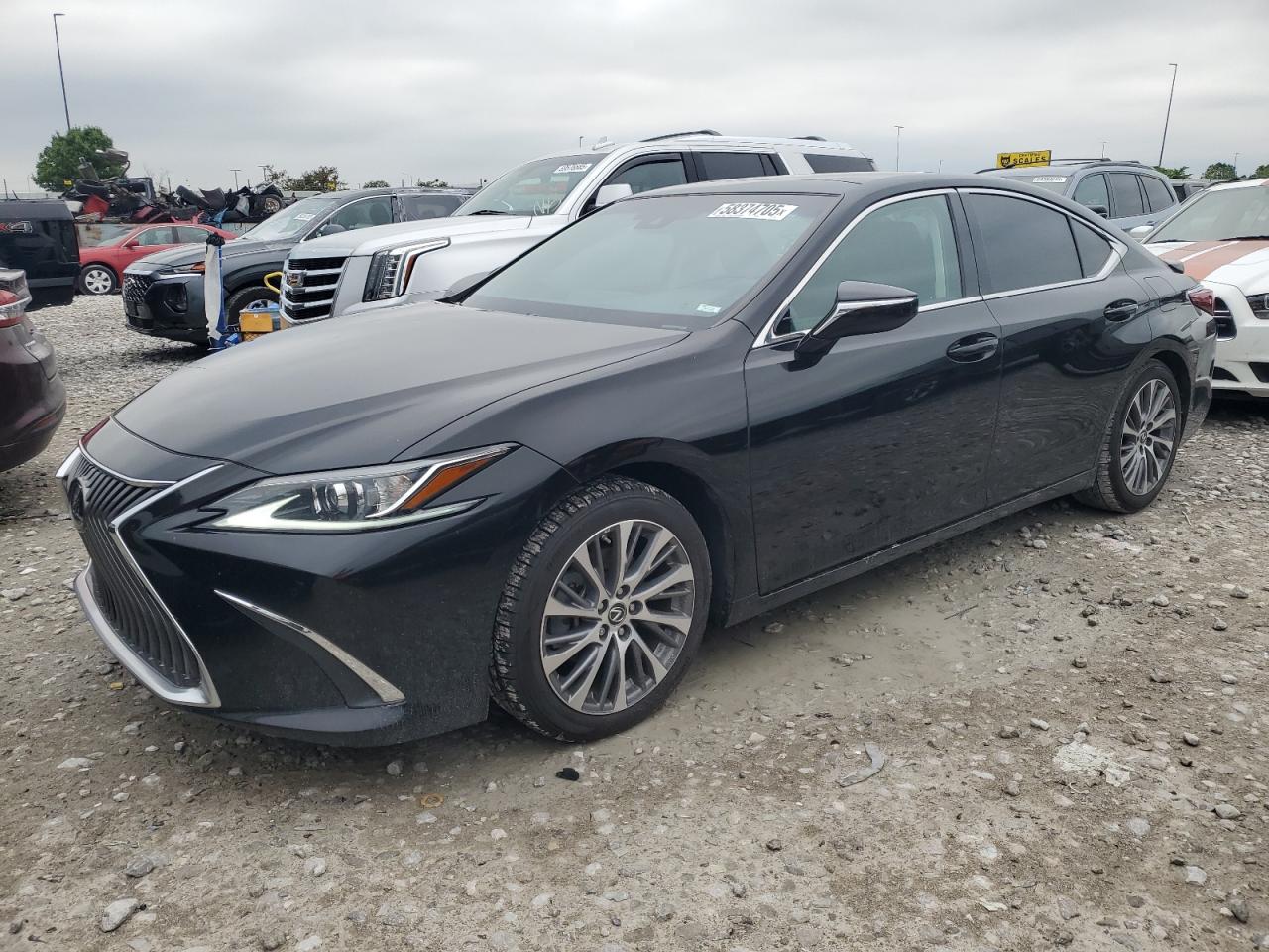 2021 Lexus Es 350 Base for Sale in Cahokia Heights, IL - Hail