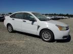 2008 Ford Focus Se продається в Antelope, CA - Minor Dent/Scratches