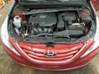 2013 Hyundai Sonata Gls   იყიდება Ham Lake-ში, MN - Front End