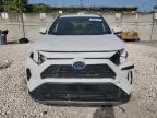 Opa Locka, FL에서 판매 중인 2023 Toyota Rav4 Se   - Front End