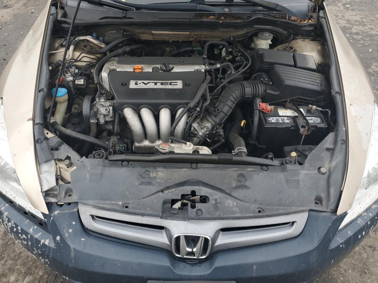 2005 Honda Accord Ex VIN: 1HGCM56895A011903 Lot: 60495245