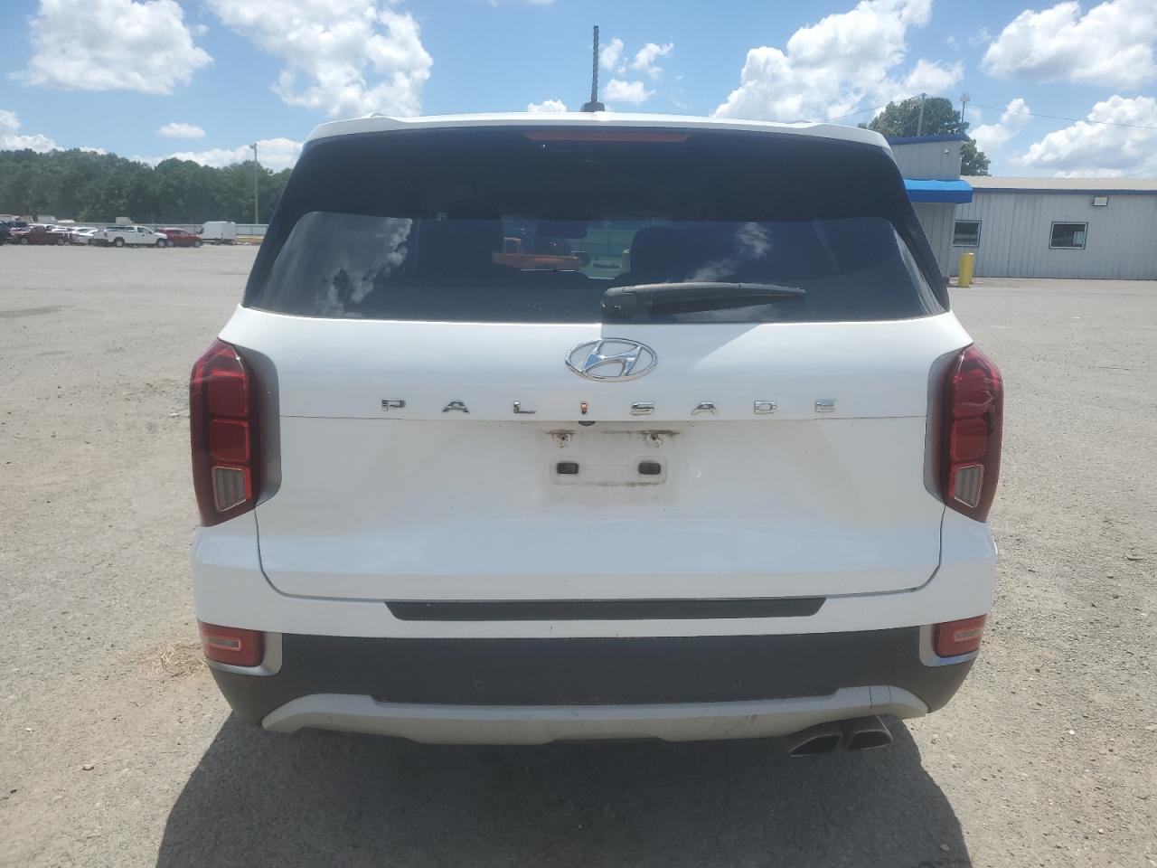 2020 Hyundai Palisade Sel VIN: KM8R34HE1LU126401 Lot: 62084825