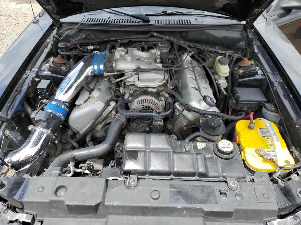 2001 Ford Mustang Cobra Svt VIN: 1FAFP46V71F203665 Lot: 61136075